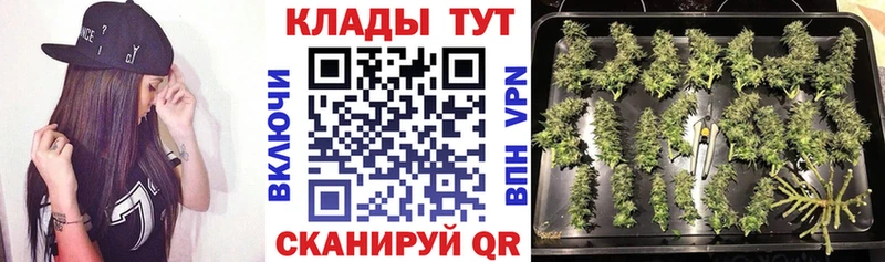 Купить наркотики цена Заринск А ПВП  МЕФ  Кокаин  Гашиш  кракен ССЫЛКА  МАРИХУАНА  АМФ 