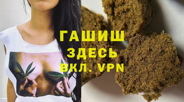 ПСИЛОЦИБИНОВЫЕ ГРИБЫ Гусь-Хрустальный