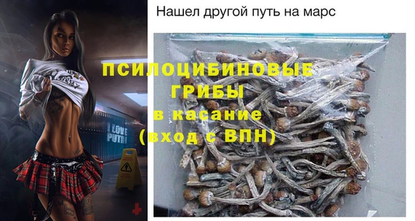 прущие грибы Гусев
