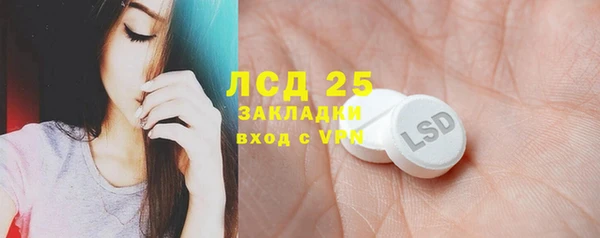 PSILOCYBIN Грязи