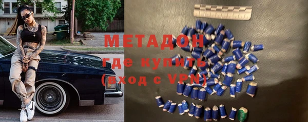 прущие грибы Гусев