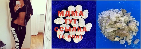 прущие грибы Гусев