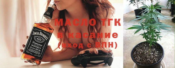 молекула духа Грязовец