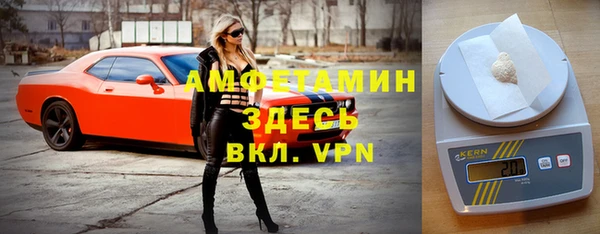 прущие грибы Гусев