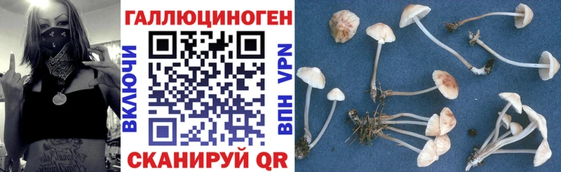наркотики  hydra маркетплейс  Псилоцибиновые грибы GOLDEN TEACHER  Заринск 