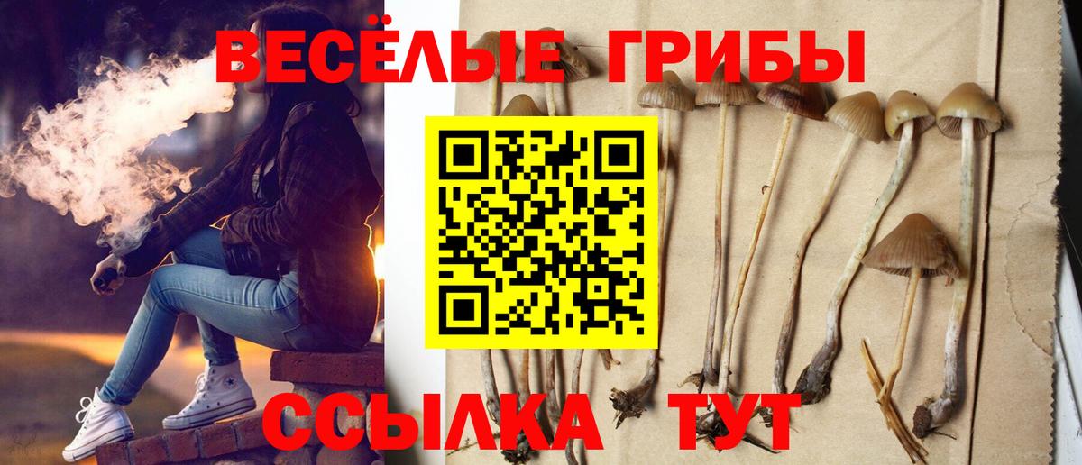 Заринск  Галлюциногенные грибы MAGIC MUSHROOMS  Вход с VPN 